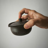 Théière Japonaise <br> Banko-Yaki 110ml