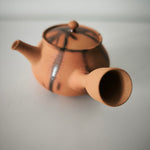 Théière Japonaise <br> Bizen Hidasuki 220ml