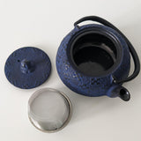 Théière en Fonte émaillée Bleue