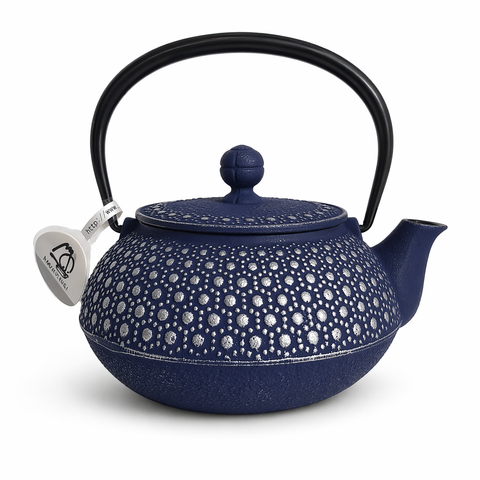 Théière Japonaise en Fonte Bleue