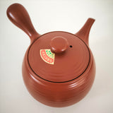 Théière Céramique du Japon <br> Tokoname 640ml