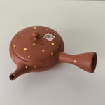 Théière Japonaise Tokoname <br> Dorée 150ml