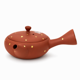 Théière Japonaise Tokoname <br> Dorée 150ml