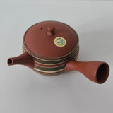 Théière du Japon <br> Tokoname 300ml