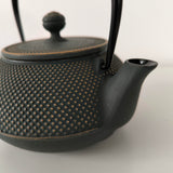 Théière en Fonte Fabriquée au Japon <br> Iwachu Arare 900ml
