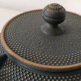 Théière en Fonte Fabriquée au Japon <br> Iwachu Arare 900ml