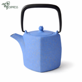 Théière Fonte Japonaise Moderne