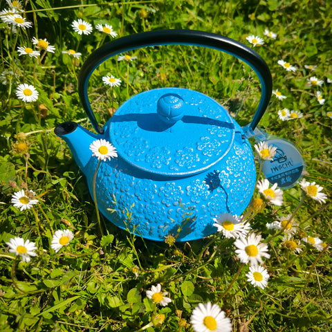 Théière en Fonte Fleur