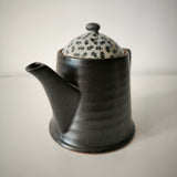 Théière Grès du Japon