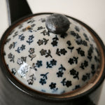 Théière en Grès du Japon <br> Filtre Inox 450ml