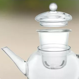 Théière en Verre avec Filtre en Verre <br> 800ml