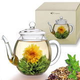 Théière en verre sans filtre <br> Fleur de thé 500 ml
