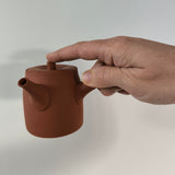 Théière Japonaise en Terre <br> Tokoname 190ml