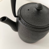 Théière en Fonte Design Scandinave <br> Wazuqu Wabi 600ml