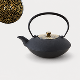 Théière en Fonte Oigen <br> Couvercle porcelaine 900ml