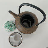 Théière en Fonte du Japon <br> Oitomi Sai Aoe 500ml