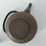 Théière en Fonte du Japon <br> Oitomi Sai Aoe 500ml