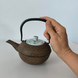 Théière en Fonte du Japon <br> Oitomi Sai Aoe 500ml