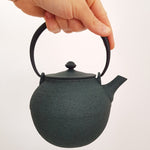 Théière en Fonte Wazuqu <br> Hikime 550ml