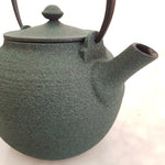 Théière en Fonte Wazuqu <br> Hikime 550ml