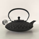 Théière en Fonte Noire Plate