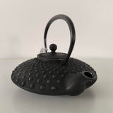 Théière en Fonte Japonaise Noire