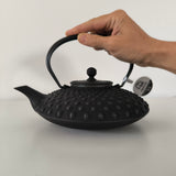 Théière en Fonte 800ml