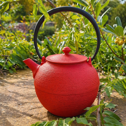Théière en Fonte Japonaise Rouge