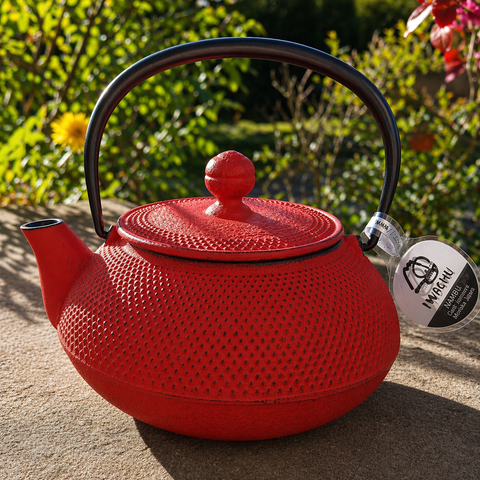 Théière Fonte Iwachu Arare Rouge