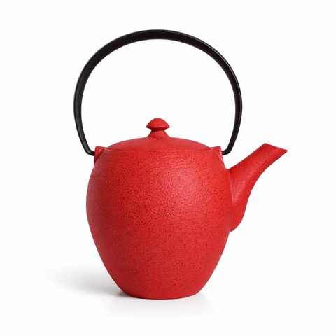 Théière en Fonte Moderne <br> Wazuqu Mayu 550ml