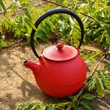 Théière en Fonte Rouge <br> Wazuqu Hikime 950ml