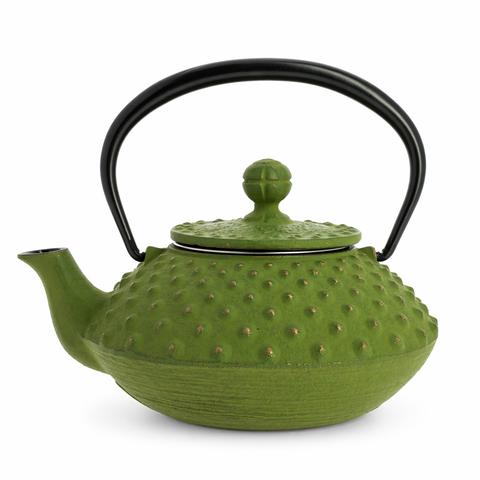 Théière en Fonte Japonaise <br> Iwachu Kanbin 320ml