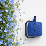 Théière Bleue en Fonte