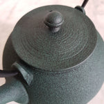 Théière en Fonte Wazuqu <br> Hikime 550ml