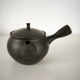 Théière Japonaise Artisanale <br> Hokuryū 350ml