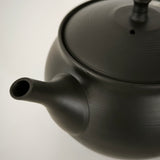 Théière Japonaise Artisanale <br> Hokuryū 350ml