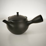 Théière Japonaise Artisanale <br> Hokuryū 350ml