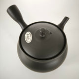 Théière Japonaise Artisanale <br> Hokuryū 350ml