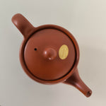 Théière Japonaise avec Filtre <br> Tokoname 450ml