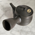 Théière Japonaise <br> de Tokoname 490ml