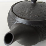 Théière Japonaise <br> de Tokoname 300ml