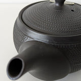 Théière Japonaise <br> de Tokoname 300ml