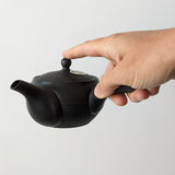 Théière Japonaise <br> de Tokoname 300ml