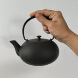 Théière Japonaise en Fonte Émaillée <br> Wazuqu Fuku 550ml