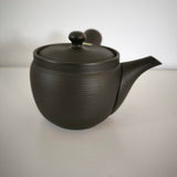 Théière Japonaise Grande Contenance <br> Tokoname 620ml