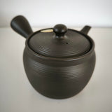 Théière Japonaise Grande Contenance <br> Tokoname 620ml