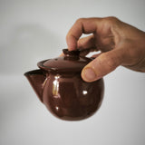 Théière Japonaise Made in France <br> ROU GUI 240ml
