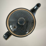 Théière japonaise pour 2 Personnes <br> Céramique 500 ml