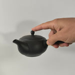 Théière Japonaise en Terre Cuite <br> Tokoname 370ml