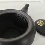 Théière Japonaise en Terre Cuite <br> Tokoname 370ml